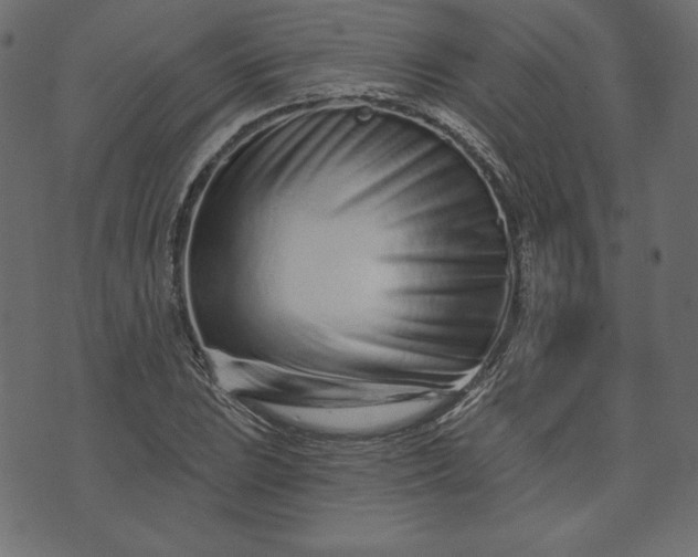 X0000073741023200608171301
