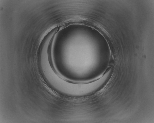 X0000073741026200608171301