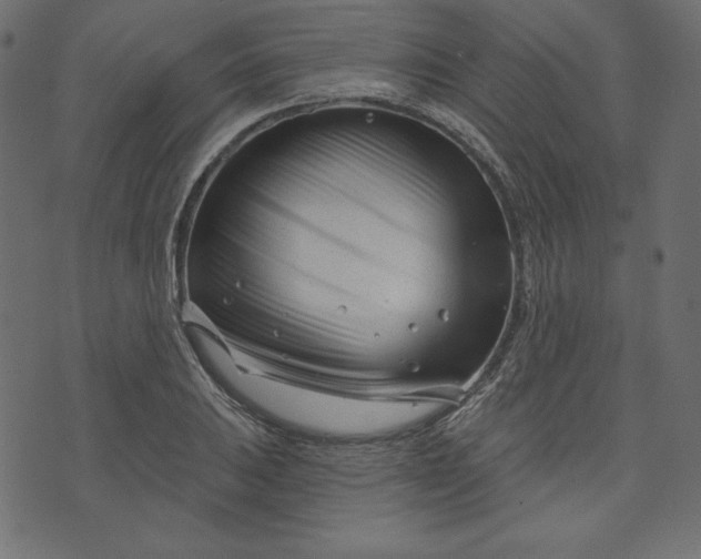 X0000073741031200608171301