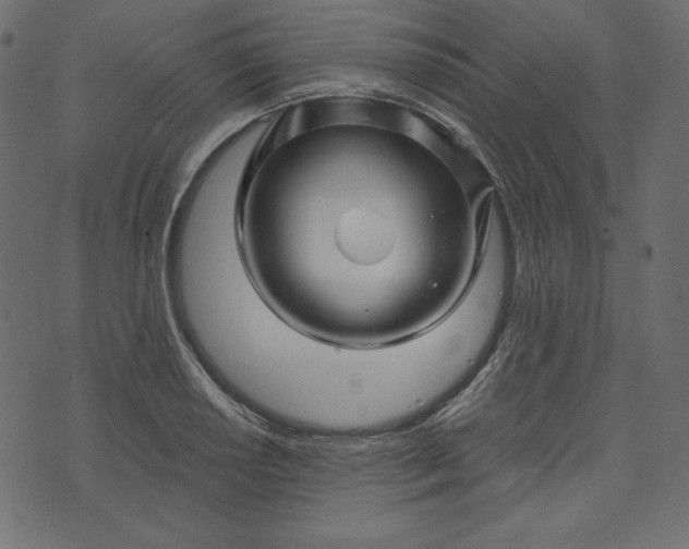 X0000073741034200608171301