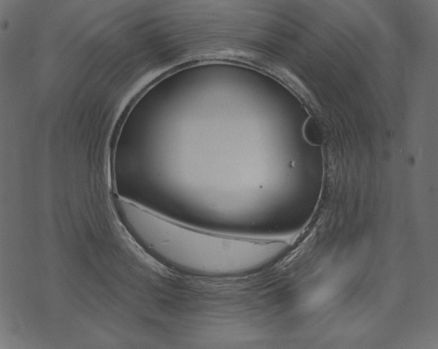 X0000073741036200608171301