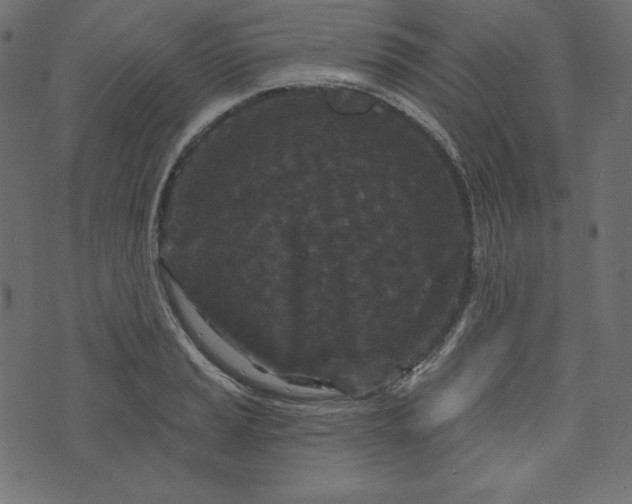 X0000073741037200608171301