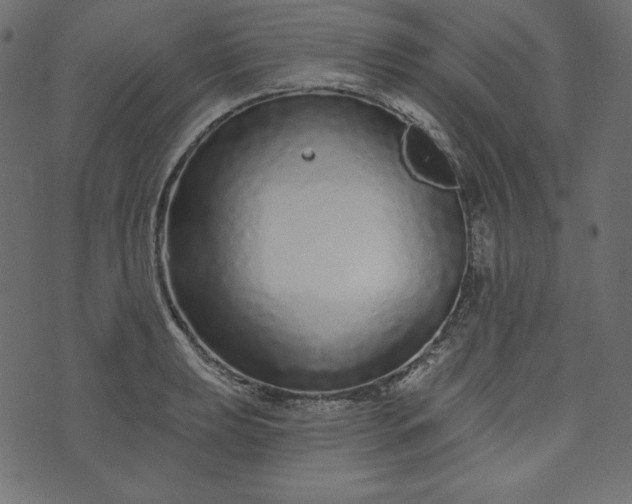 X0000073741039200608171301