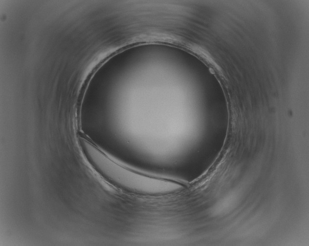 X0000073741040200608171301