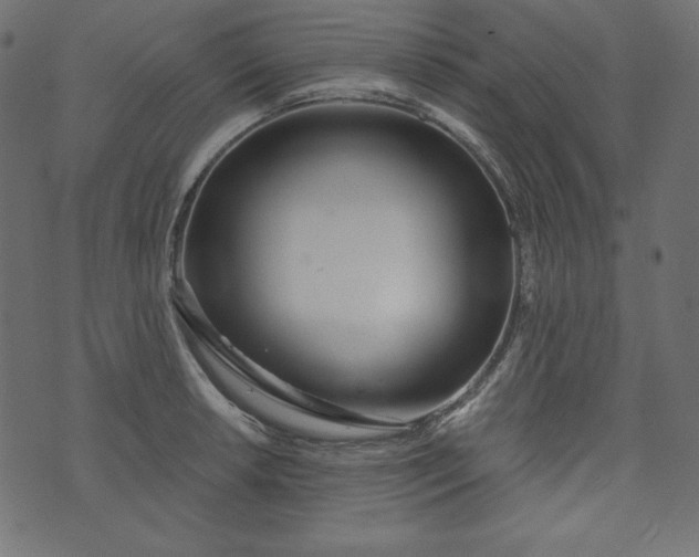 X0000073741042200608171301