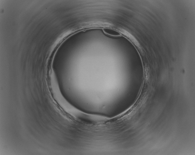 X0000073741043200608171301