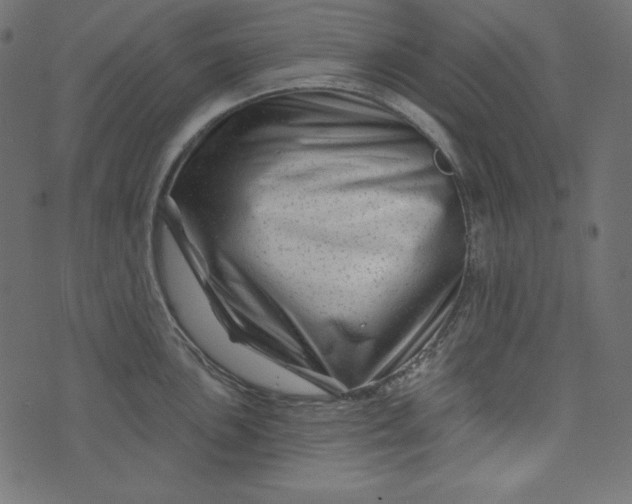 X0000073741051200608171301