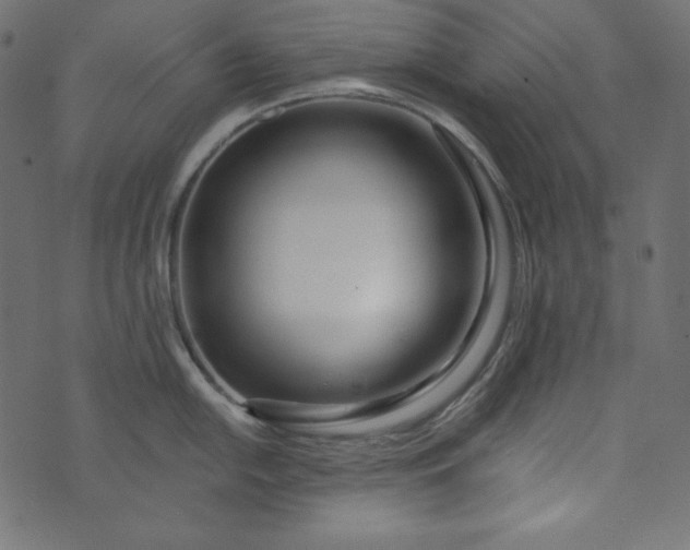 X0000073741054200608171301