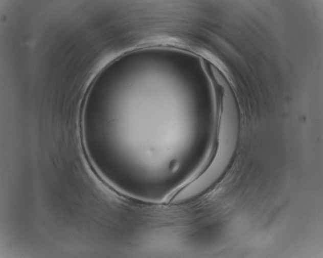 X0000073741055200608171301