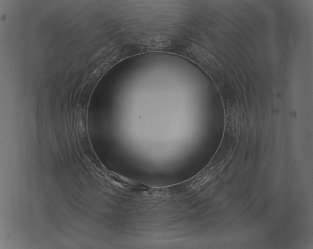 X0000073741058200608171300