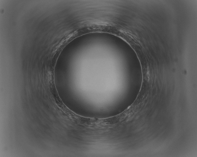X0000073741061200608171300