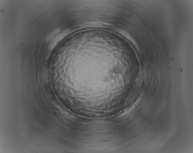 X0000073741067200608171300
