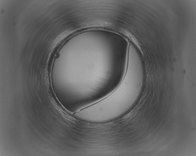 X0000073741072200608171300