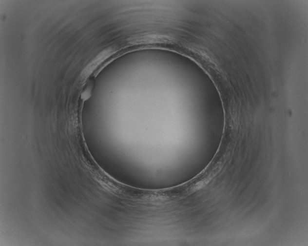 X0000073741073200608171300