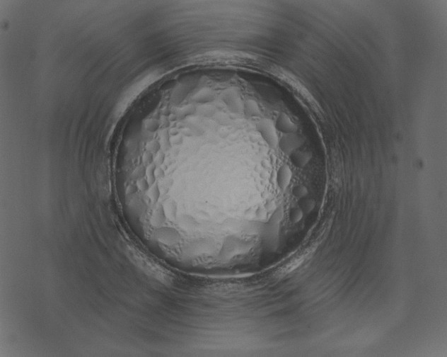 X0000073741075200608171300