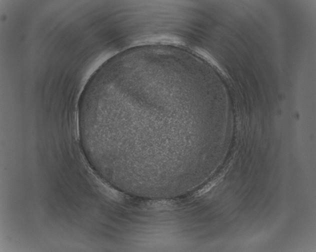 X0000073741079200608171300