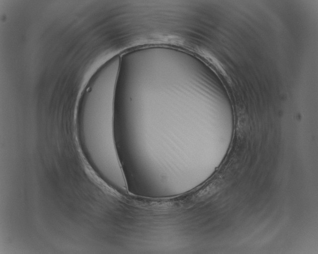 X0000073741080200608171300