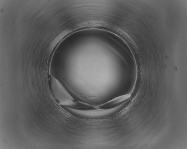 X0000073741081200608171300