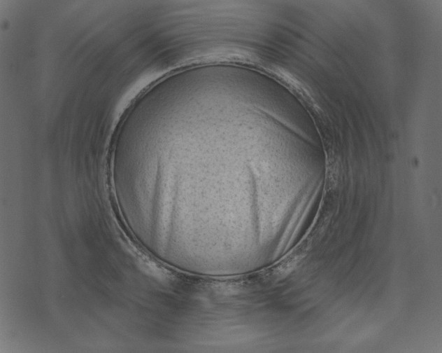 X0000073741086200608171300