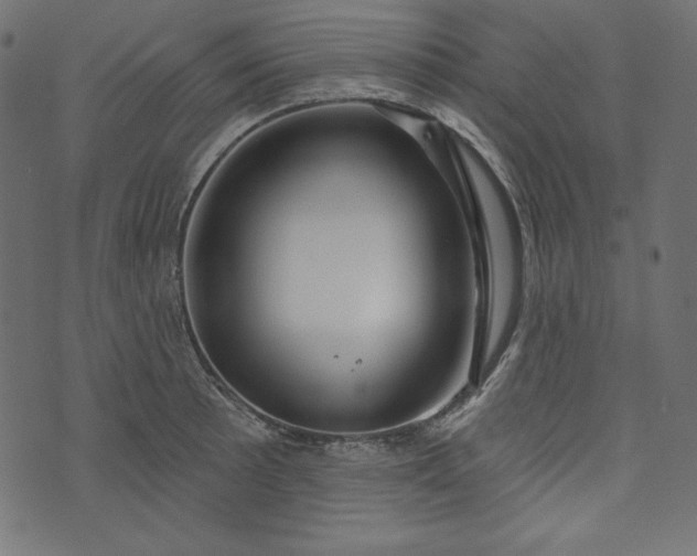X0000073741089200608171300