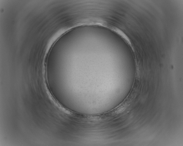 X0000073741096200608171300