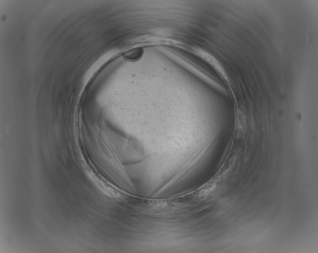 X0000073741098200608171300