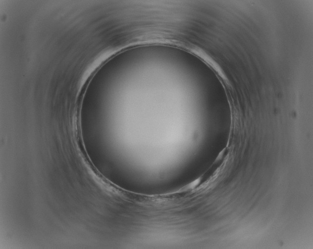 X0000073741101200608171300