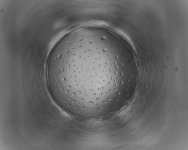 X0000073741103200608171300