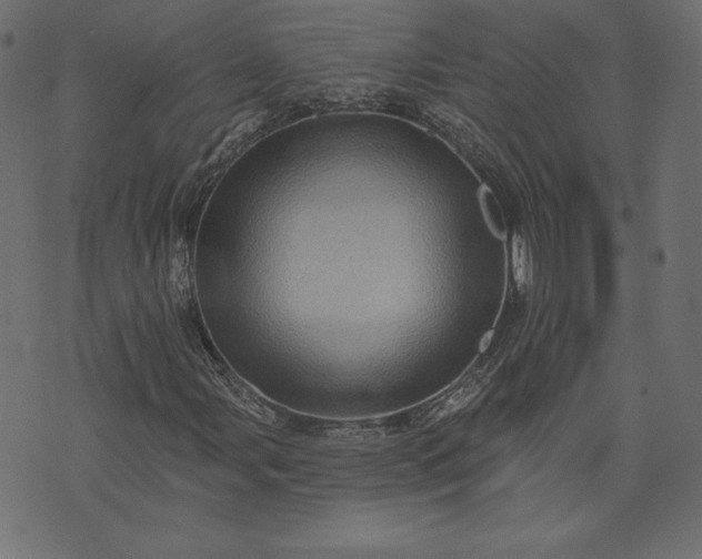 X0000073741107200608171259