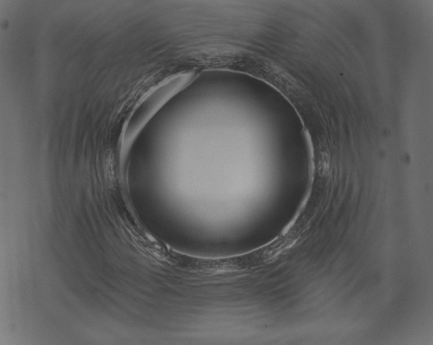X0000073741108200608171259
