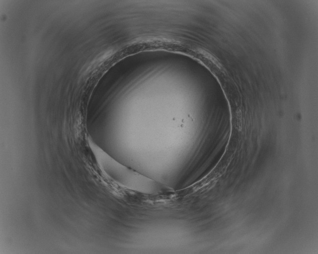 X0000073741111200608171259