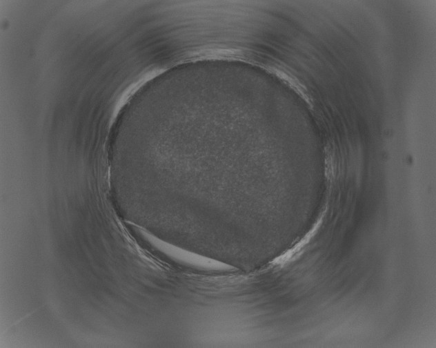 X0000073741117200608171259