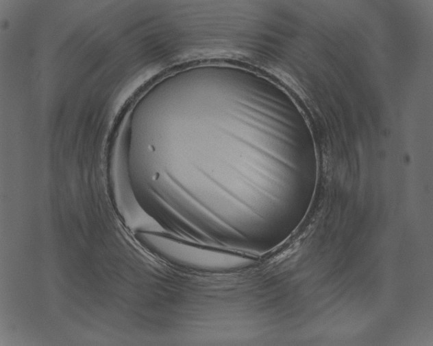X0000073741119200608171259