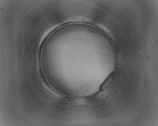 X0000073741120200608171259