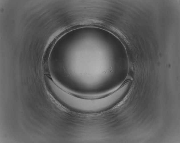 X0000073741122200608171259
