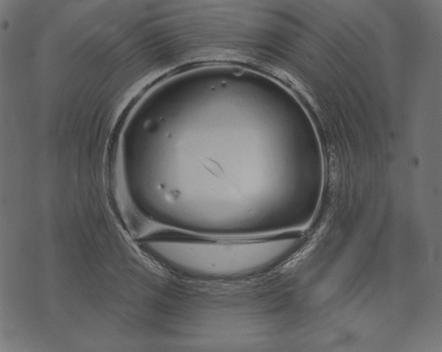 X0000073741125200608171259