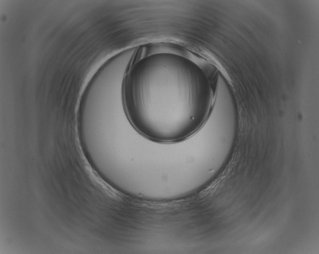 X0000073741132200608171259