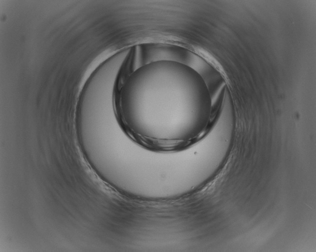 X0000073741138200608171259