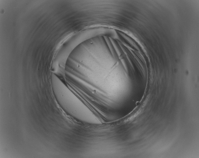 X0000073741145200608171259
