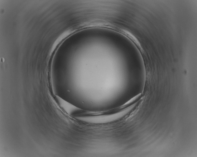 X0000073741146200608171259
