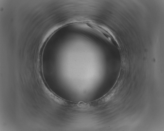 X0000073741147200608171259