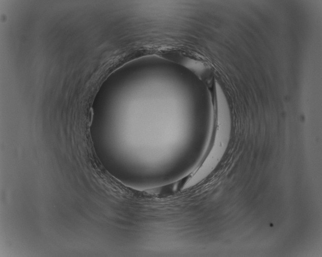 X0000073741153200608171259