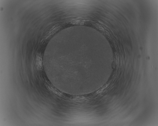 X0000073741154200608171259