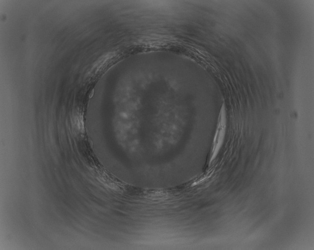 X0000073741155200608171259