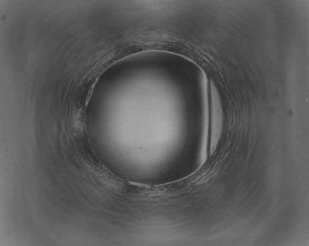 X0000073741156200608171259