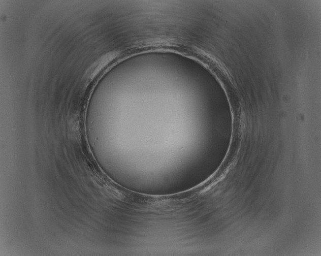 X0000073741162200608171259