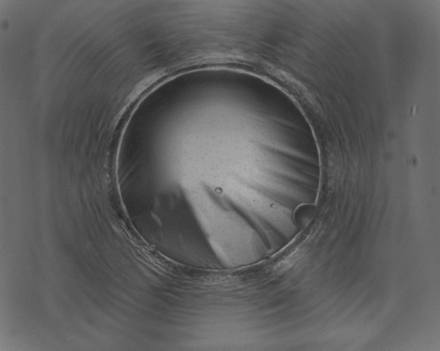 X0000073741170200608171258
