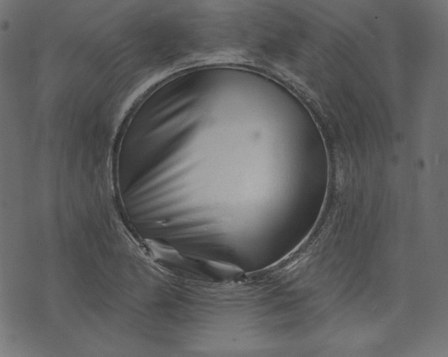 X0000073741174200608171258