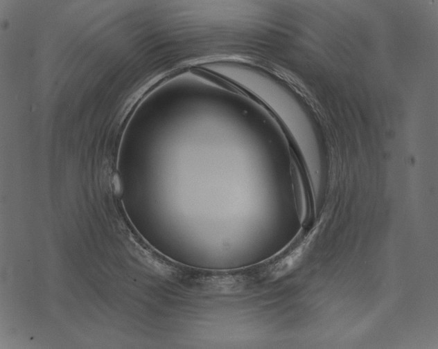 X0000073741177200608171258
