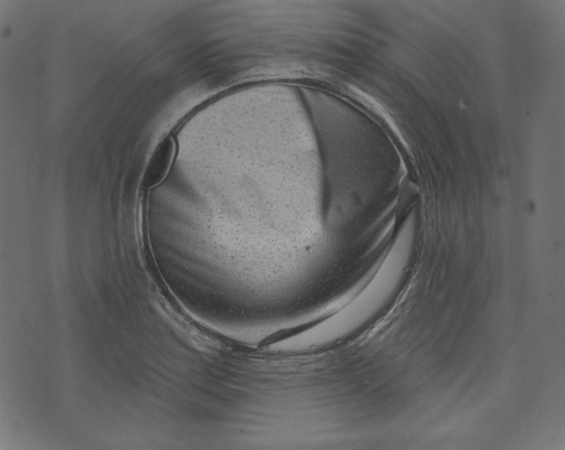 X0000073741179200608171258